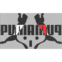 Brand Catalog-ZX 574